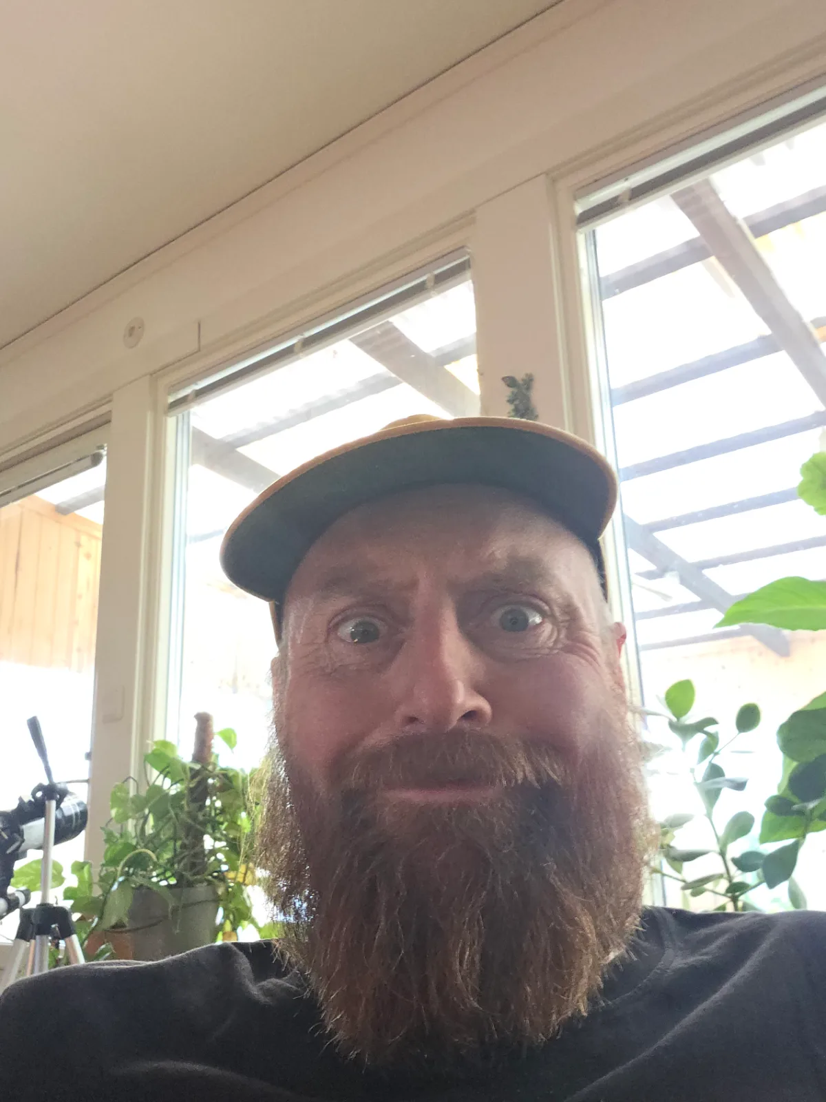 Foto av Hemmet